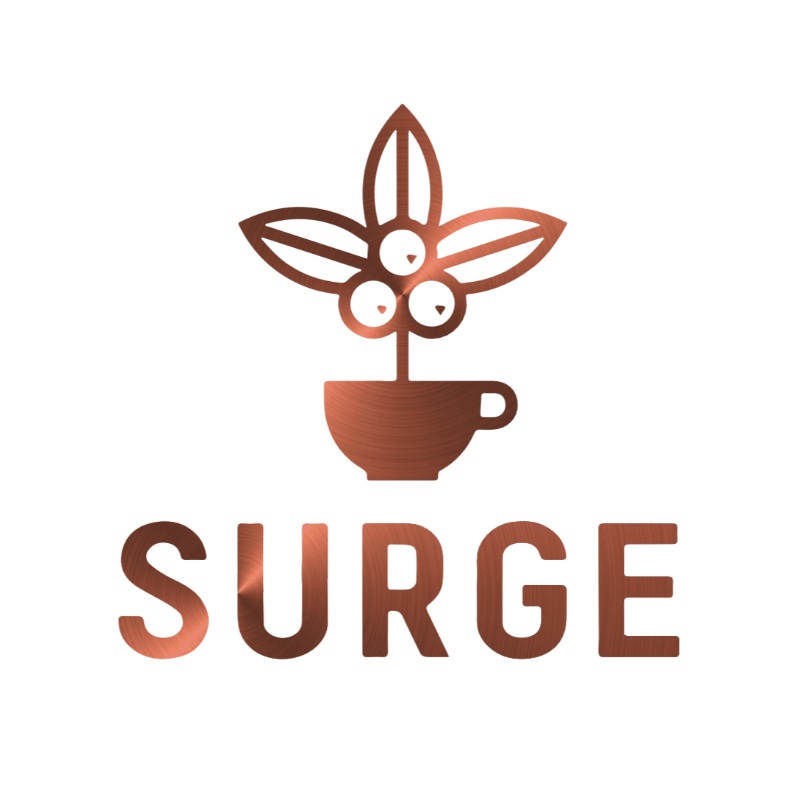 Cafe Surge