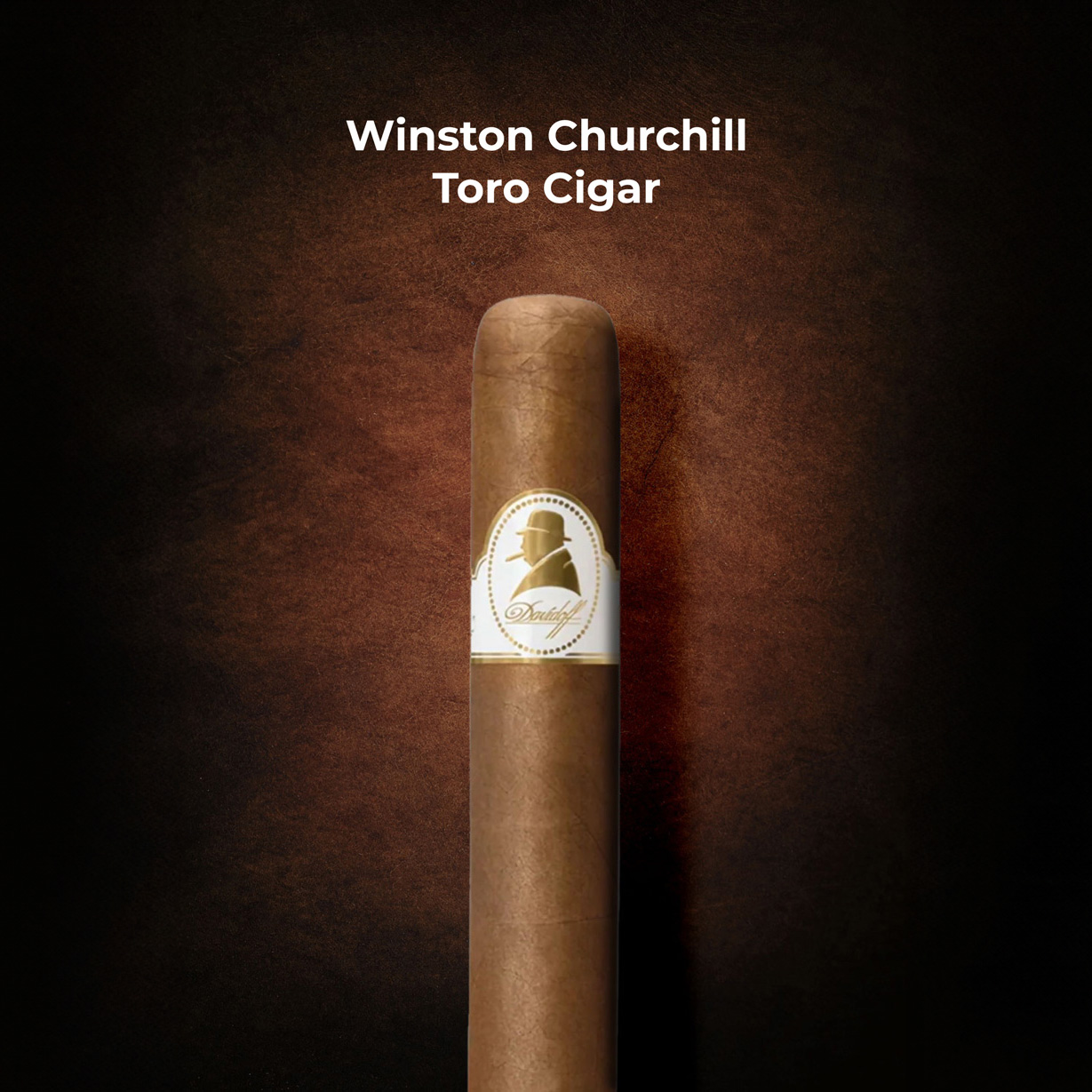 Winston The Late Hour Churchill